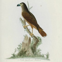 hk_fantaisies_Sets_49