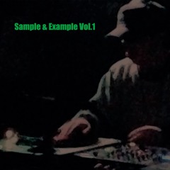 Sample & Example Vol.1