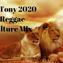 2020 Reggae Culture Mix DJ Tony Mix