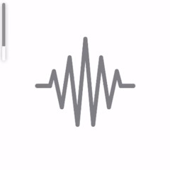 LS X YS WAV