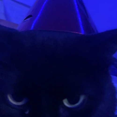 I have work tomorrow and its 3am