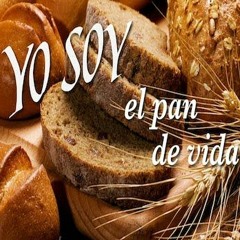 Luz en mi sendero, domingo 1 de agosto de 2021, XVIII del Tiempo Ordinario.