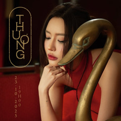 THƯƠNG - BÍCH PHƯƠNG x vietlouis mix