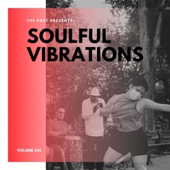Soulful Vibrations Volume 041
