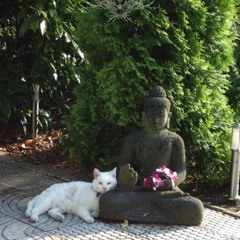 KROSI feat. nexmend (prod. mindcontrolkeed + glowyo)