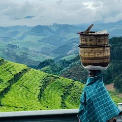 Nago Haitian Roots(1).m4a