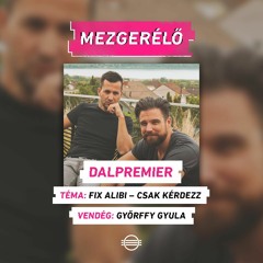 Fix Alibi, Petőfi Rádió Mezgerélő