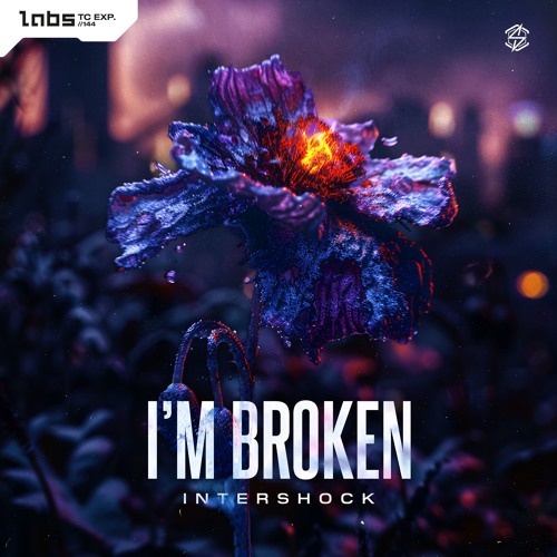 I'm Broken (Radio Edit)