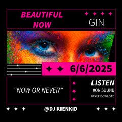 Beautiful Now - Gin