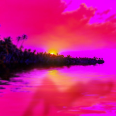 ELROI - HORSESHOE BAY
