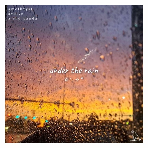 amethxyst, Avolve, a red panda - under the rain ☆˚.⊹*