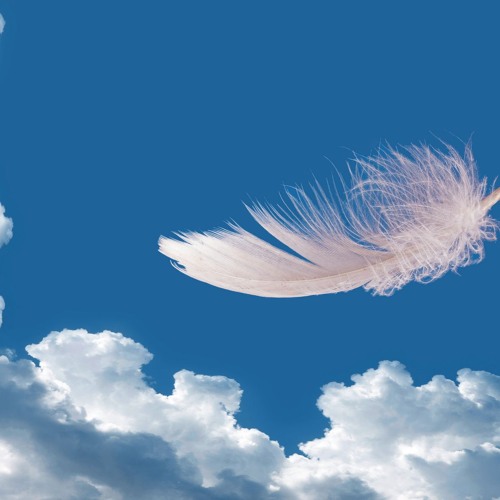 Gypsy Tailwind