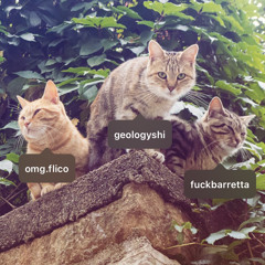 Soul (flico x barretta)