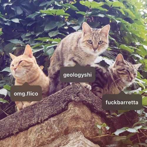 Soul (flico x barretta)