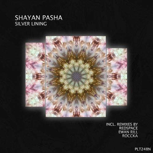 PREMIERE: Shayan Pasha - Silver Lining (Rockka Remix) [Polyptych Noir]