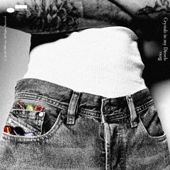 CRYSTALS IN MY DIESELS