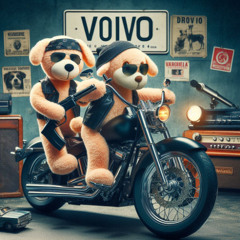 VOIVO