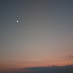 brand new day
