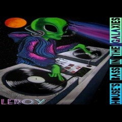 LEROY - HOUSE's Bass In The Galaxies