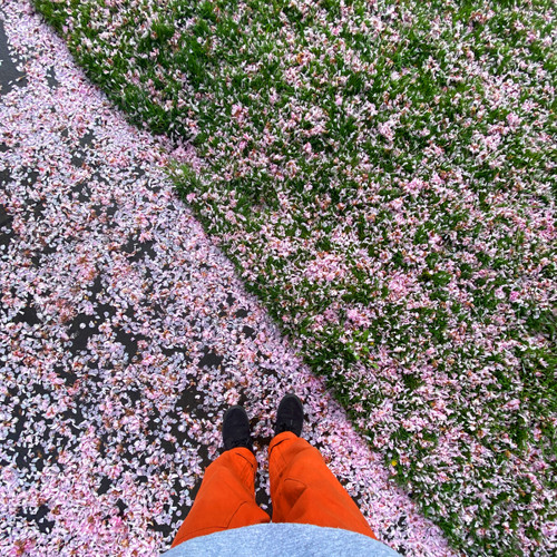 My Playlist - Part 1