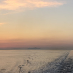 music for crossing bodies of water (the soft animal of your body)