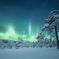 ANIMA ANIMUS Global@Suomisaundi Online Gathering 2020 Random Records