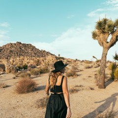 Deep Desert Sunset - Live from Soundgarden