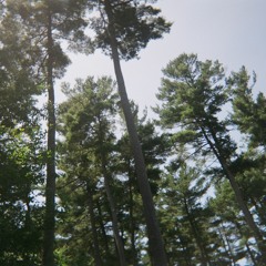 Blue Moon (Billie Holiday Cover)