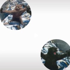 ~One More Time~ (sped up + pitched)