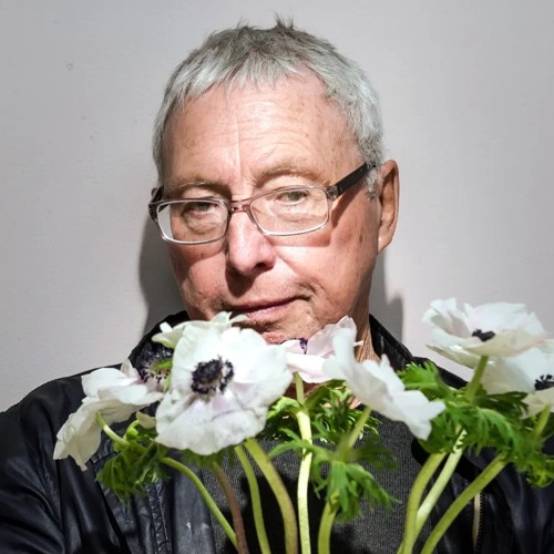 Stream In Memoriam Harold Budd by Squidwerks Listen online for free