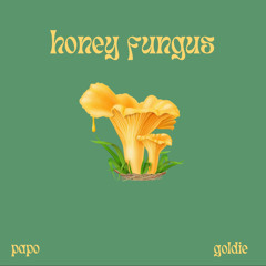 Honey Fungus (goldie X papo)