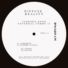 Tièmoko Koné - External Forms II [Vinyl]