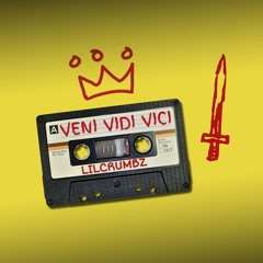 VENI VIDI VICI