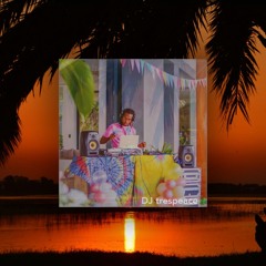 Jazzy House Sunset Mix 2024 | DJ trespeace