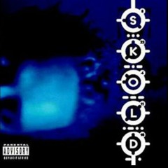 Tim Skold  - Chaos