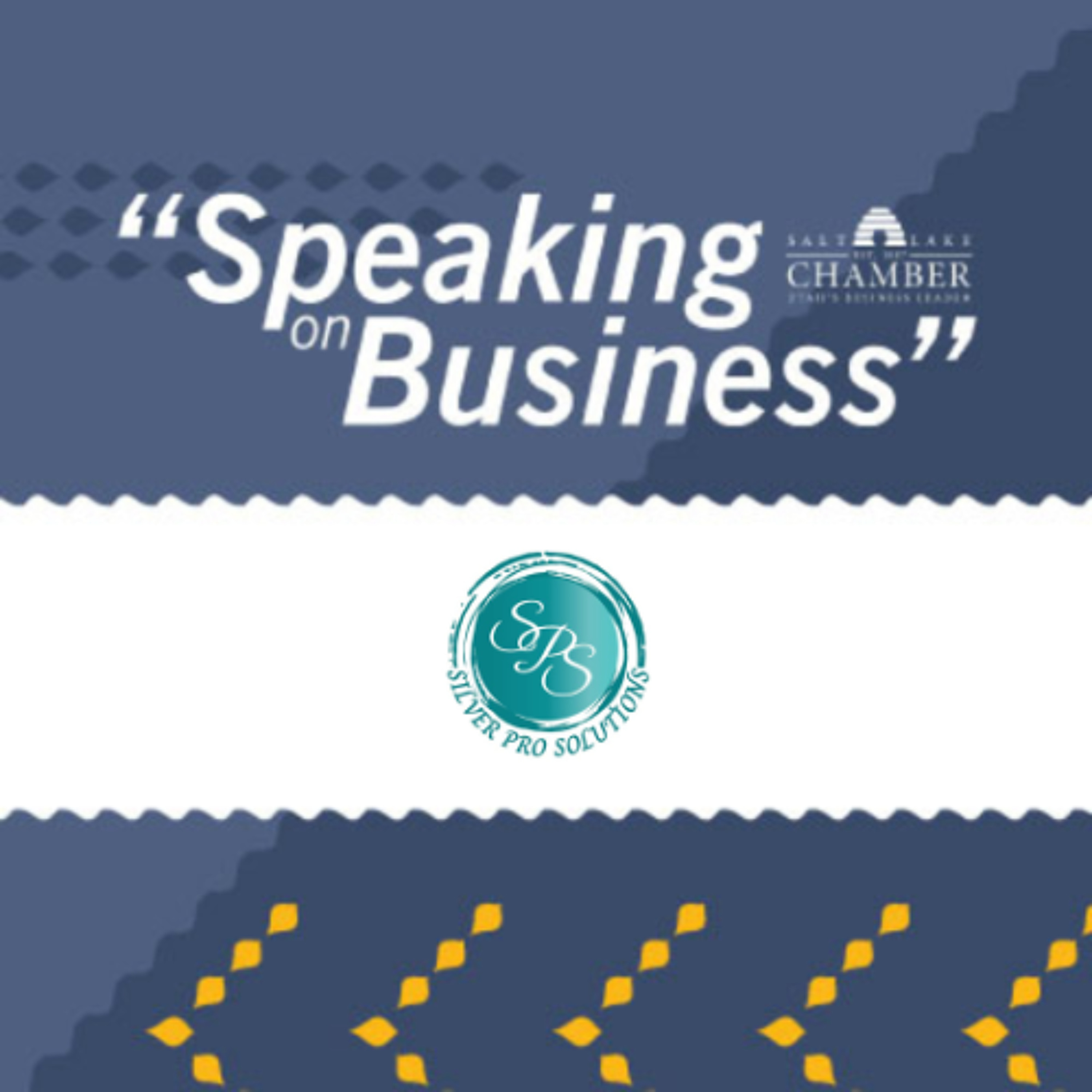 Speaking on Business: Silver Pro Solutions episode artwork