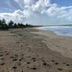 The Falklands (Instrumental)