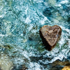 Dr. Steve Woodard - "Labor of Love as Resistance: The Power of (PFT) Pleasure"