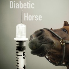 Diabetic Horse