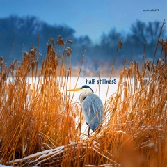 halF stillnesS [naviarhaiku576]