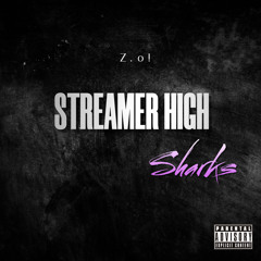 STREAMER HIGHSCHOOL (sharks)