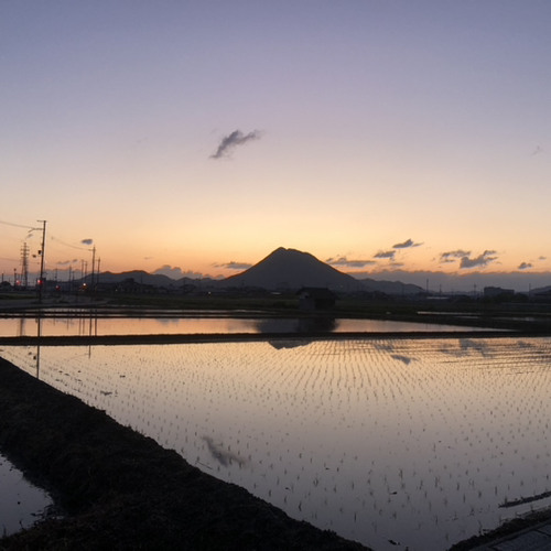 Tender Echoes(202307)