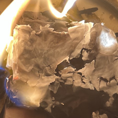 Traumatic Memories (Demo)