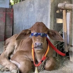 Rocket Man (Seth David) x Texas (BigXthaPlug)