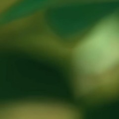 its going to be okay / split