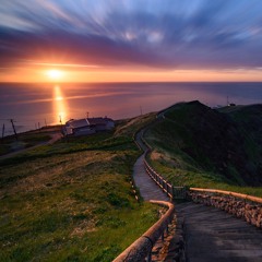 The Sun Also Rises