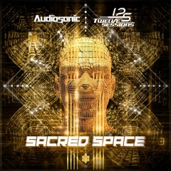 Audiosonic & Twelve Sessions - Sacred Space (Original Mix)