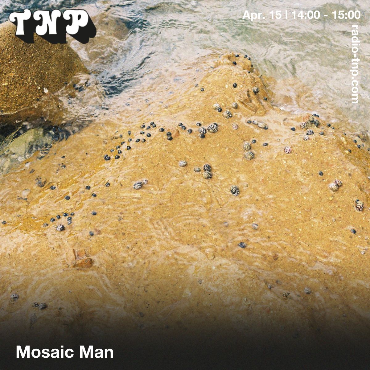 Mosaic Man