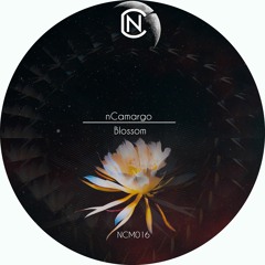 nCamargo - All The Time [Premiere]