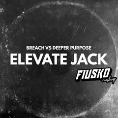Breach Vs Deeper Purpose  - Elevate Jack (Andrea Fiusco Mashup)